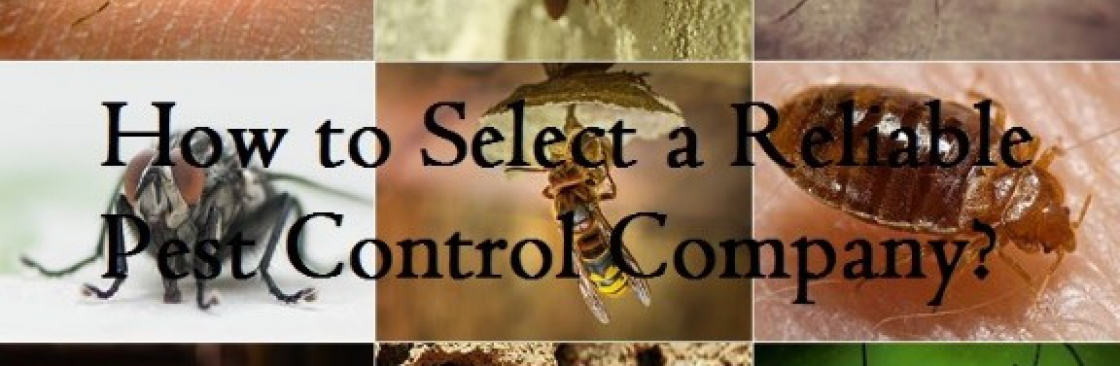 envirosafe pestcontrol Cover Image