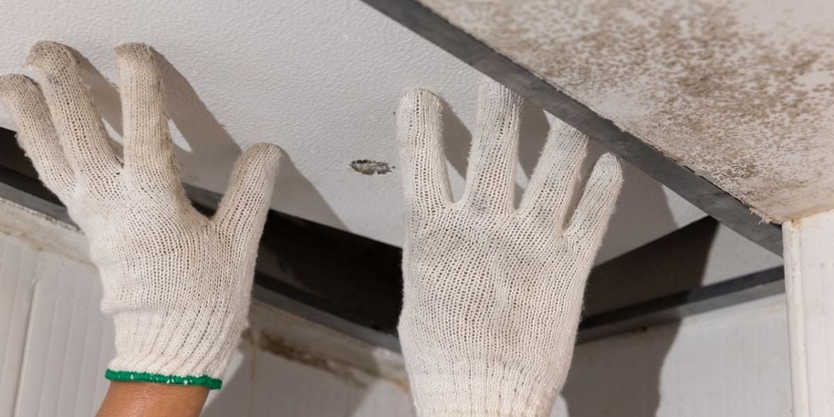 The Importance of Timely Ceiling Leak Repairs