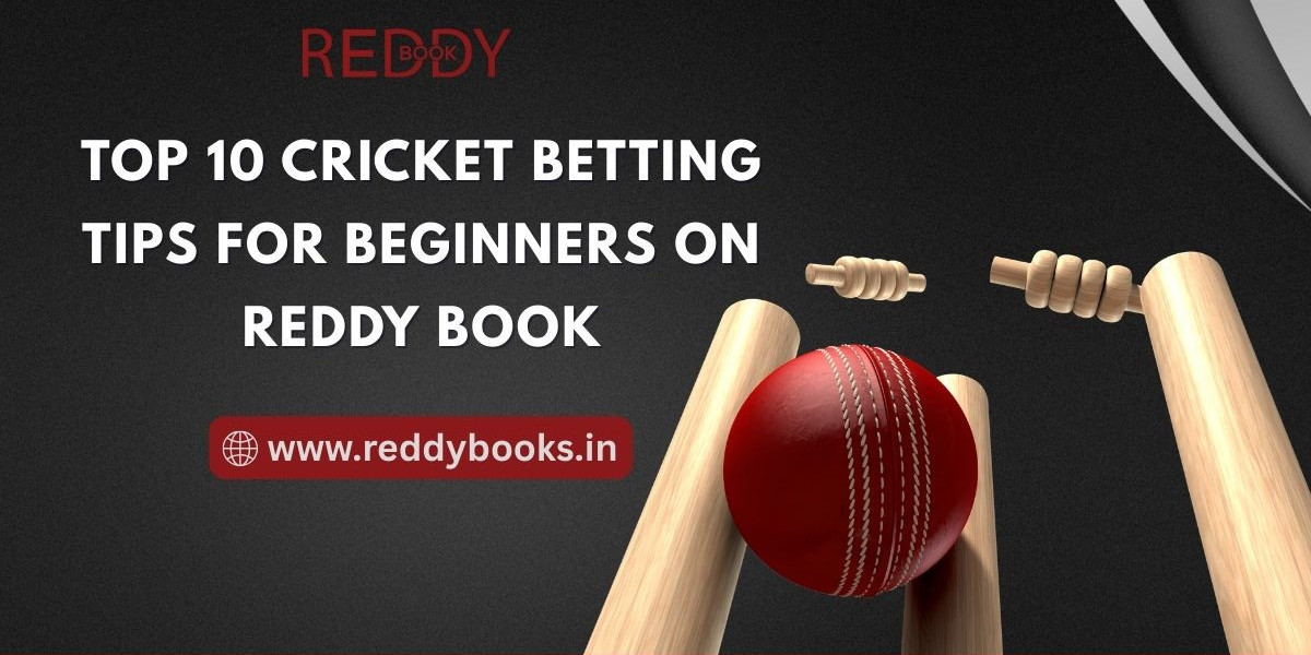 Top 10 Cricket Betting Tips for Beginners on Reddy Book