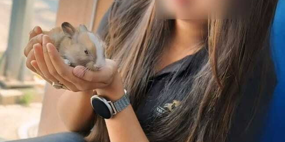 Discover the Allure of Elite Gurgaon Escorts