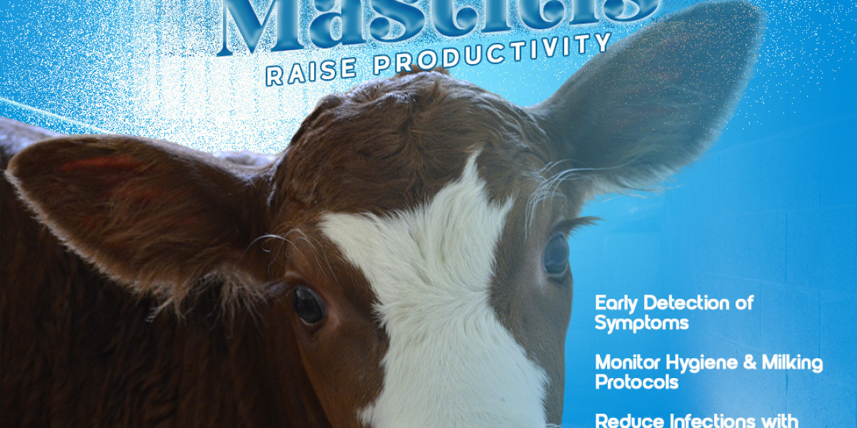 How Cattle Care Helps Farmers Lower Mastitis and Boost Herd Health